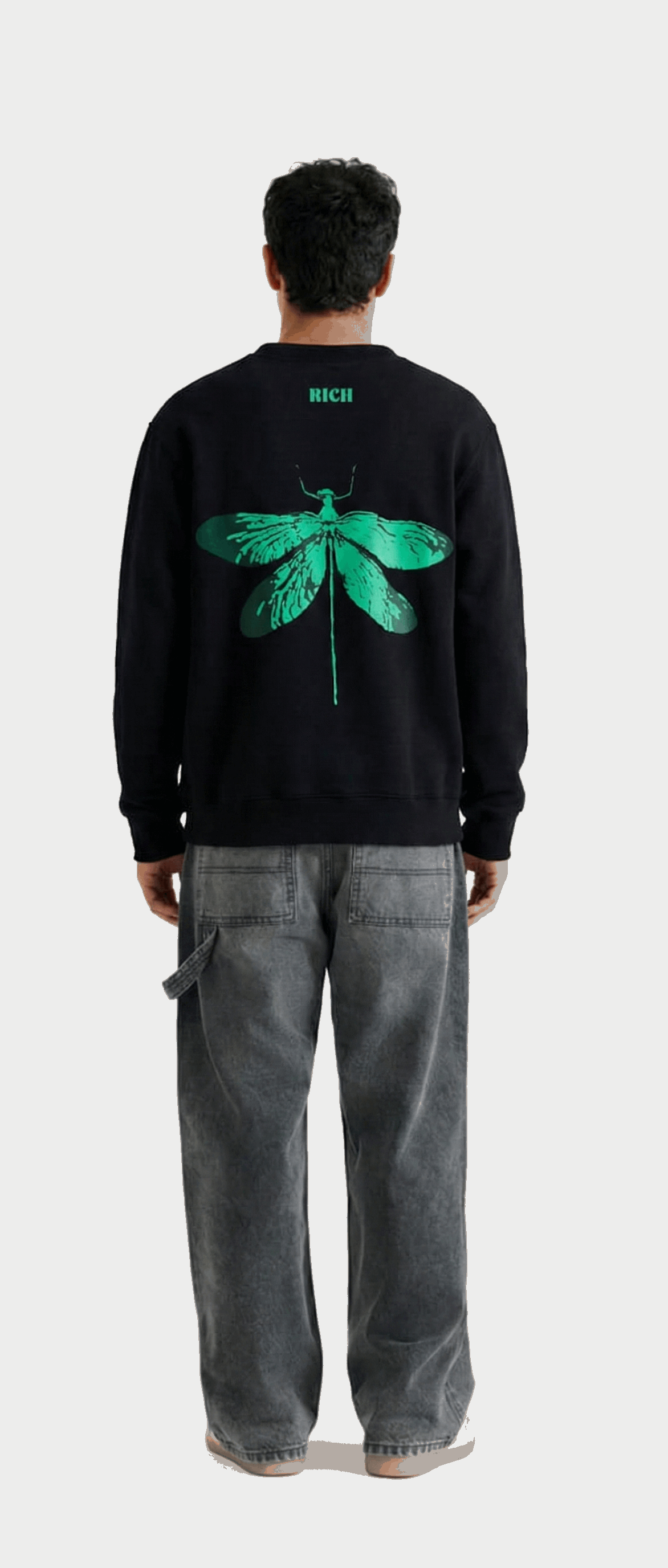 Dragon Fly Puffed Print Premium Sweatshirt (Unisex)