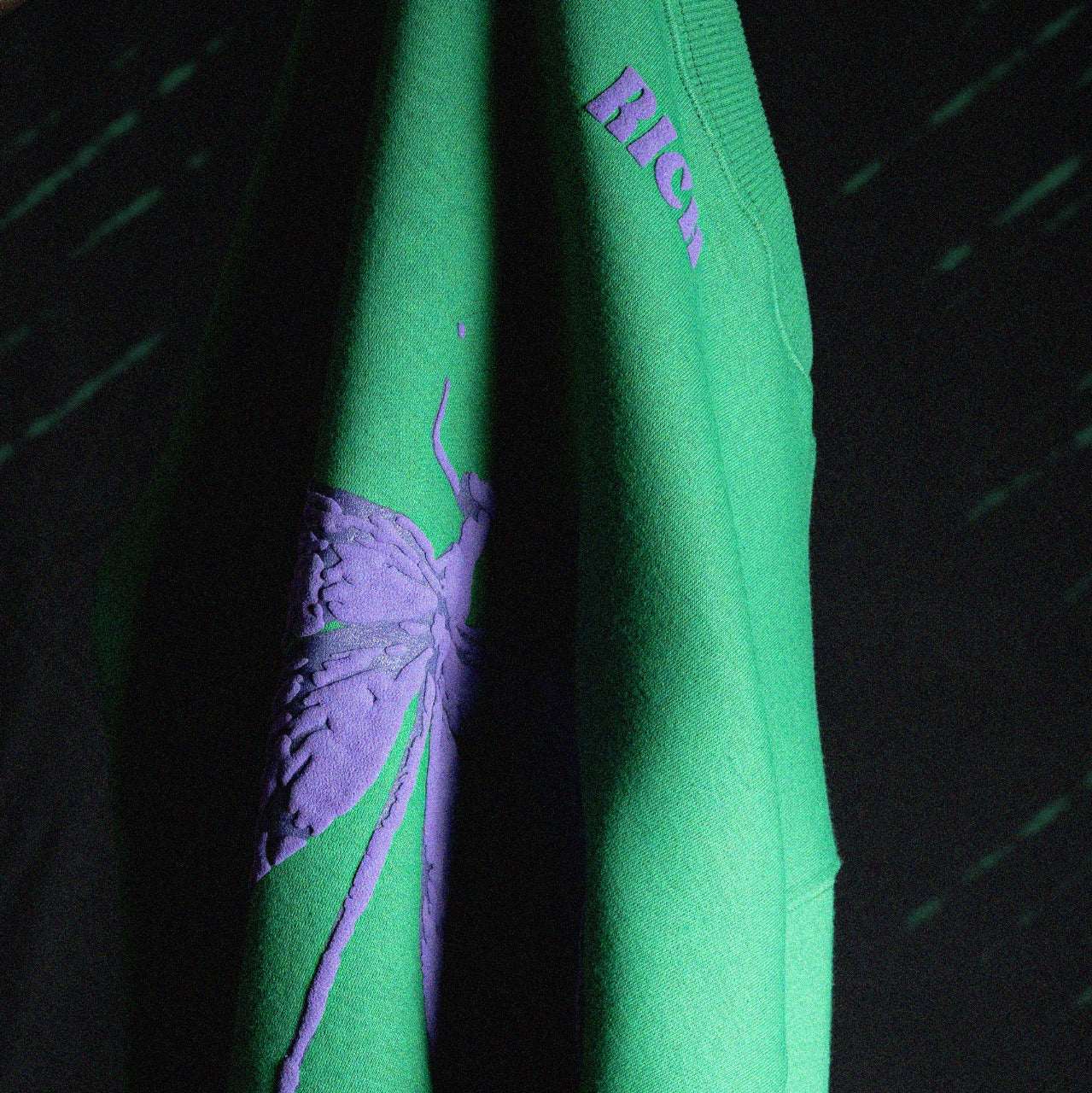 Purple Dragon Fly Puffed Print Premium Sweatshirt (Unisex)