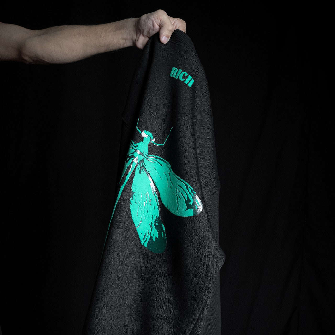 Jenzy Rich Dragon Fly Puffed Print Premium Sweatshirt (Unisex)